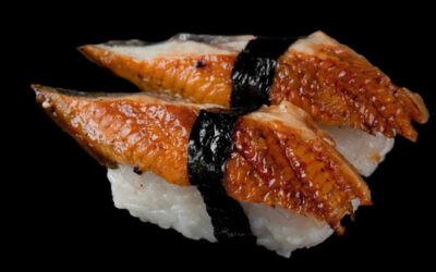 Unagi – Sushi anguille